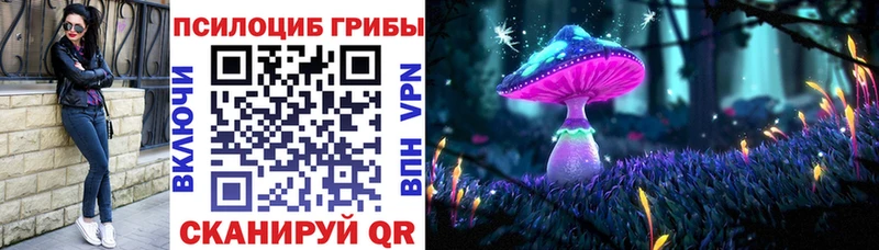 цены   Бабаево  Псилоцибиновые грибы Magic Shrooms 